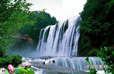 绿植叶子发黄如何解决